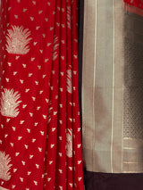 MIMOSA Red Saree Saree — fleets shot full lifestyle