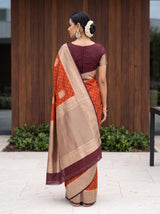 MIMOSA Rust Saree Saree — pose 2 styling detail
