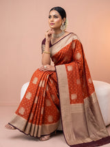 MIMOSA Rust Saree Saree — pose 8 styling detail