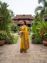MIMOSA Gold Saree Saree — pose 3 styling detail
