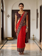 MIMOSA Orange Saree Saree — front view on mannequin