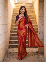 MIMOSA Orange Saree Saree — pose 5 styling detail