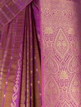 MIMOSA Pink Saree Saree — fleets shot full lifestyle
