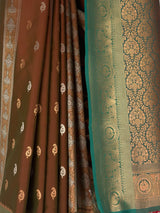 MIMOSA Brown Saree Saree — fleets shot full lifestyle