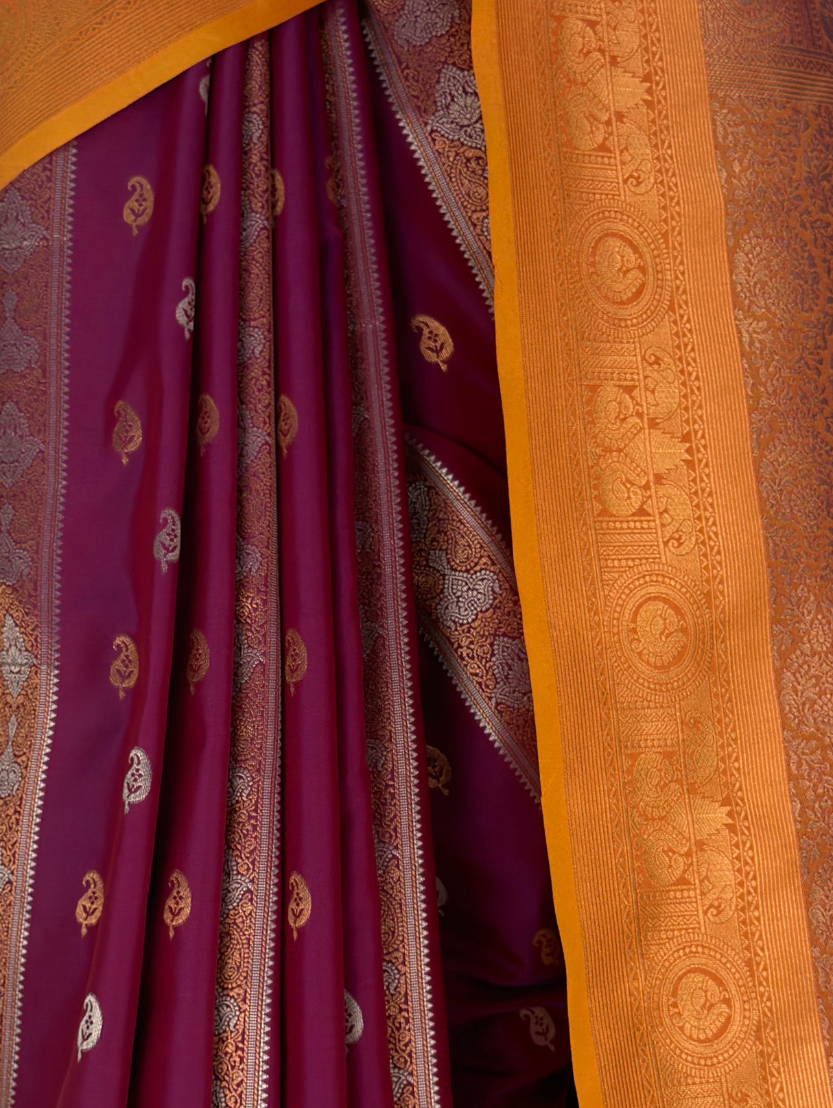 MIMOSA Wine Saree Saree — fleets shot full lifestyle