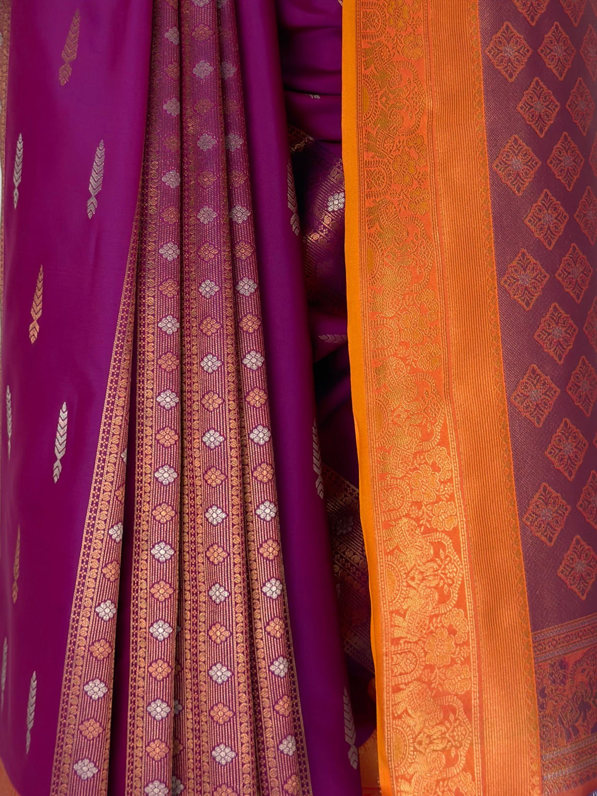 MIMOSA Rani Saree Saree — fleets shot full lifestyle