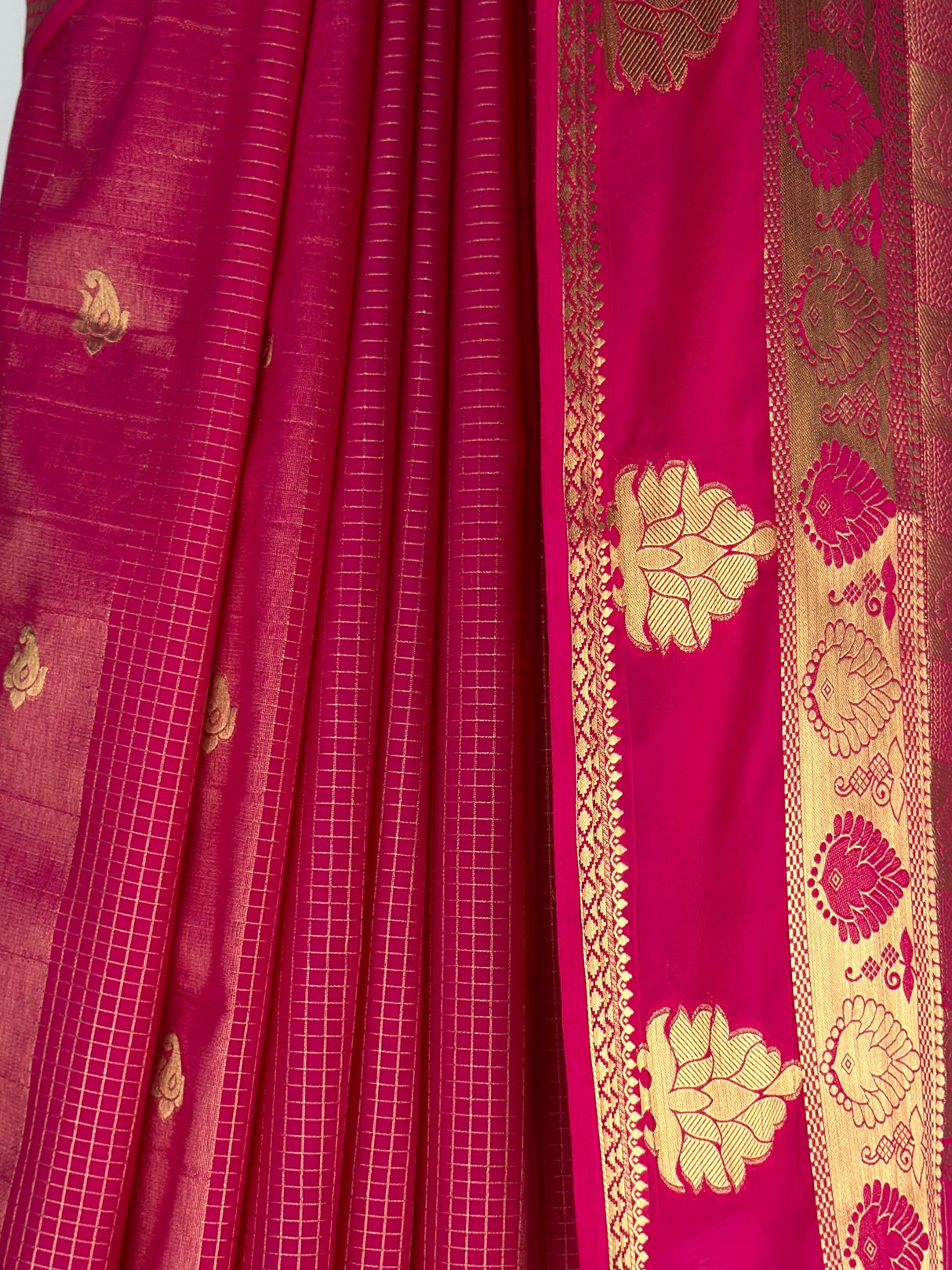 MIMOSA Rani Saree Saree — fleets shot full lifestyle