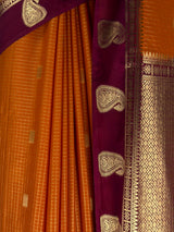 MIMOSA Mustard Saree Saree — fleets shot full lifestyle