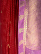 MIMOSA Red Saree Saree — fleets shot full lifestyle