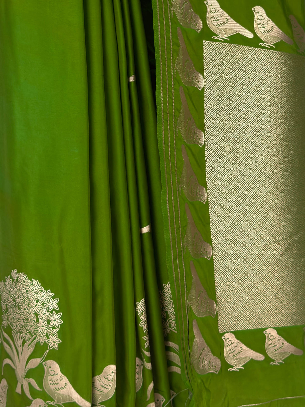 MIMOSA Olive Mysore Silk crepe Saree — fleets shot full lifestyle