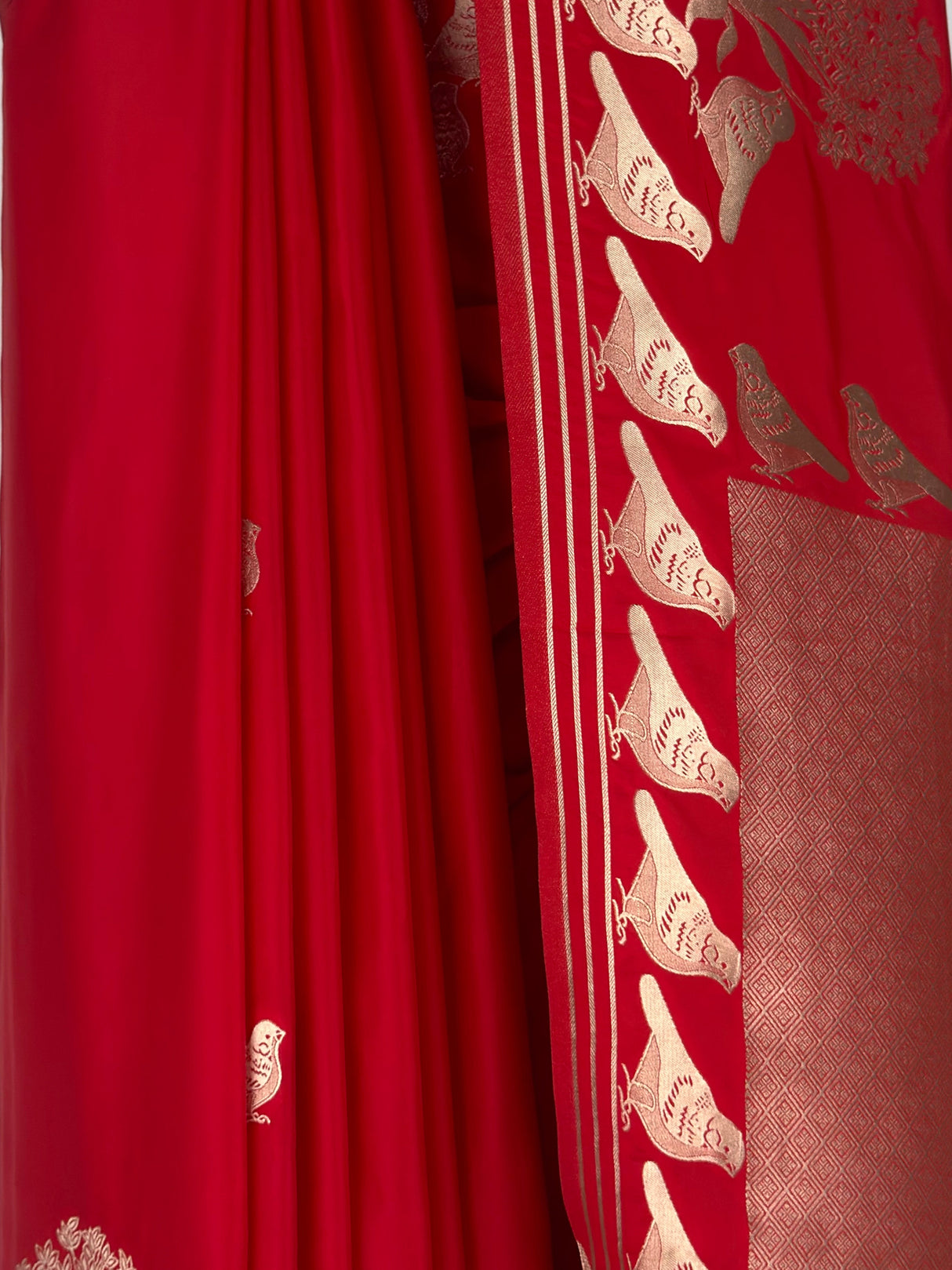 MIMOSA Red Mysore Silk crepe Saree — fleets shot full lifestyle