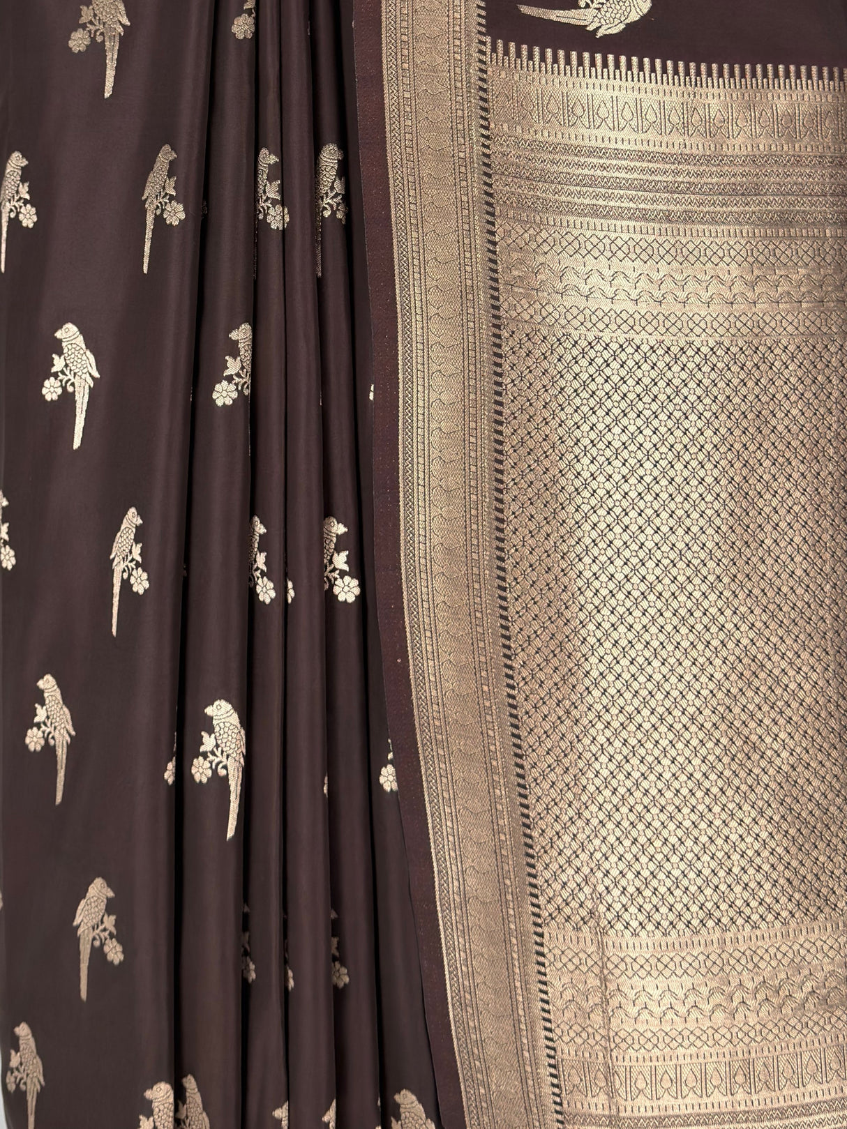 MIMOSA Chocolate Saree Saree — fleets shot full lifestyle