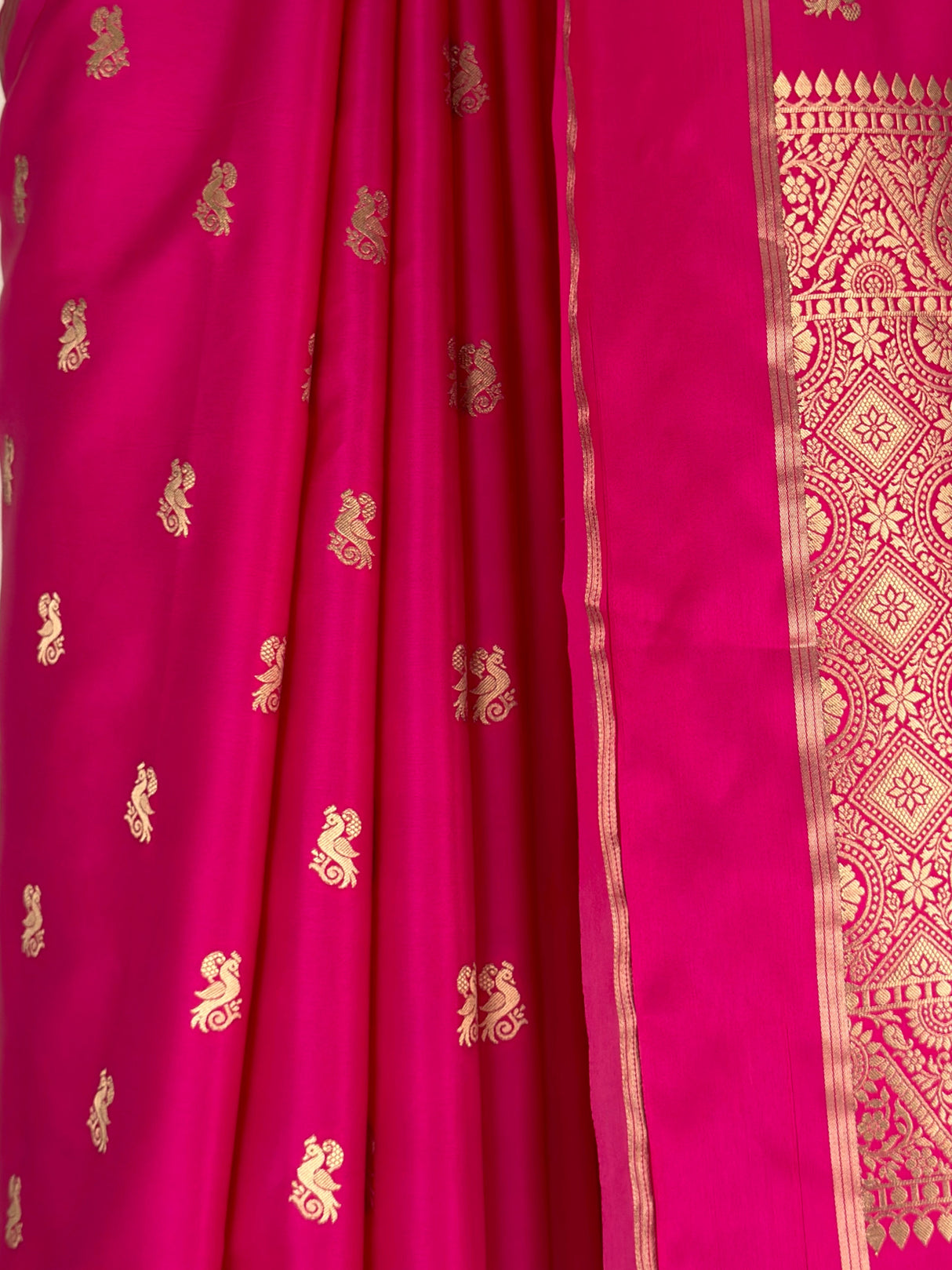 MIMOSA Gajari Saree Saree — fleets shot full lifestyle