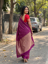 MIMOSA Jamun Saree Saree — pose 2 styling detail