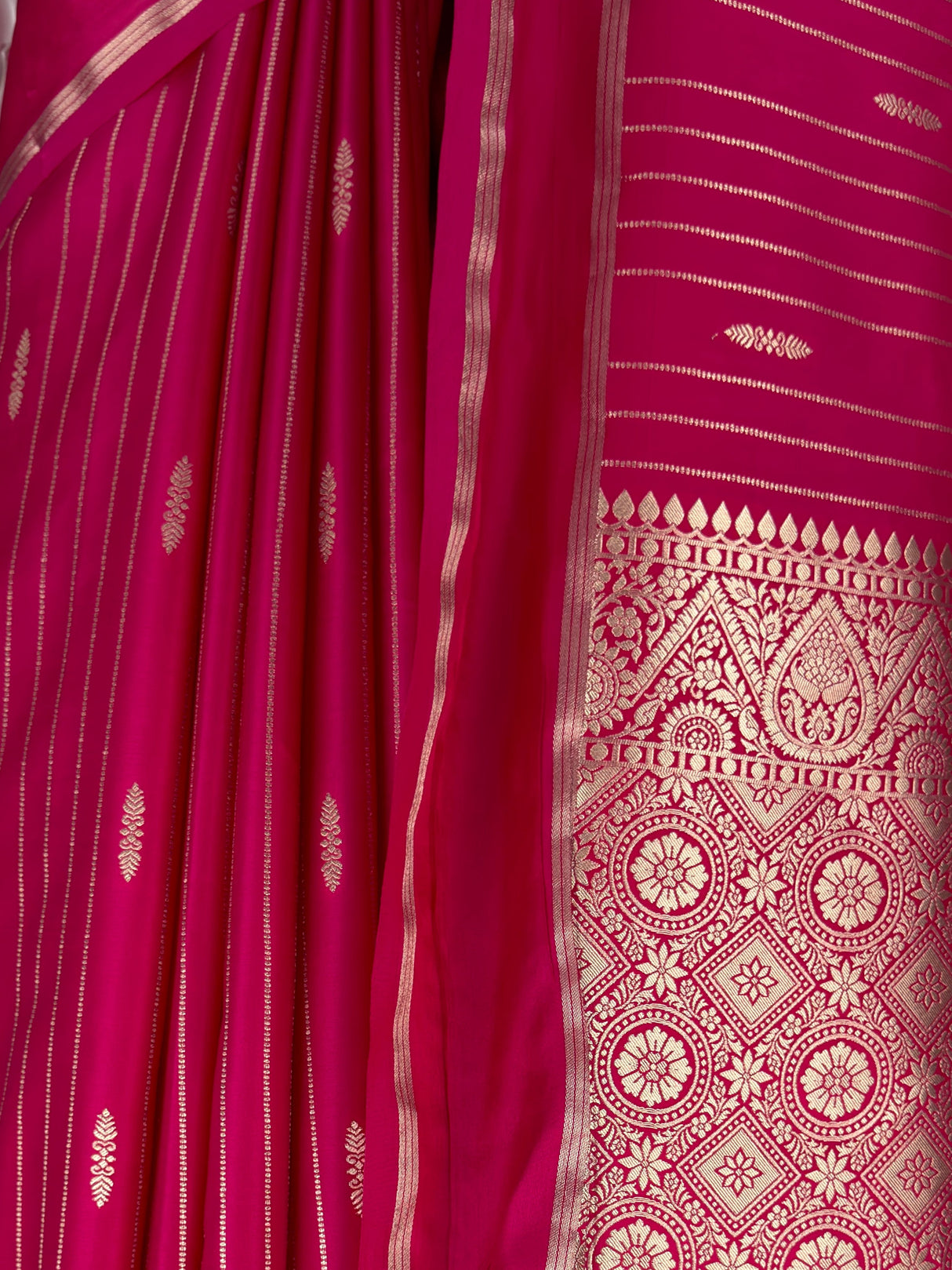 MIMOSA Rani Saree Saree — fleets shot full lifestyle