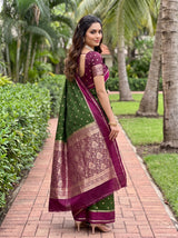 MIMOSA Olive Saree Saree — pose 7 styling detail