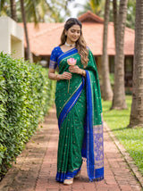 MIMOSA Rama Saree Saree — pose 9 styling detail