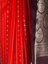 MIMOSA Orange Saree Saree — fleets shot full lifestyle