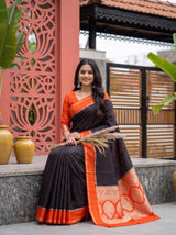 MIMOSA Chocolate Saree Saree — pose 8 styling detail