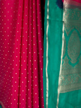 MIMOSA Rani Saree Saree — fleets shot full lifestyle