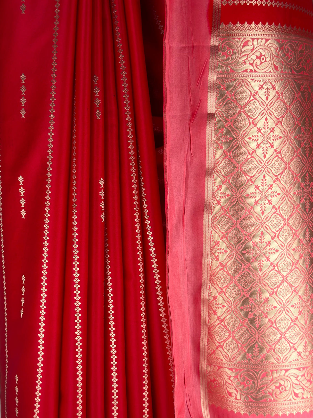 MIMOSA Red Saree Saree — fleets shot full lifestyle
