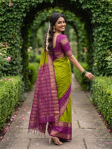 MIMOSA Olive Mysore Silk crepe Saree — Saree drape detail