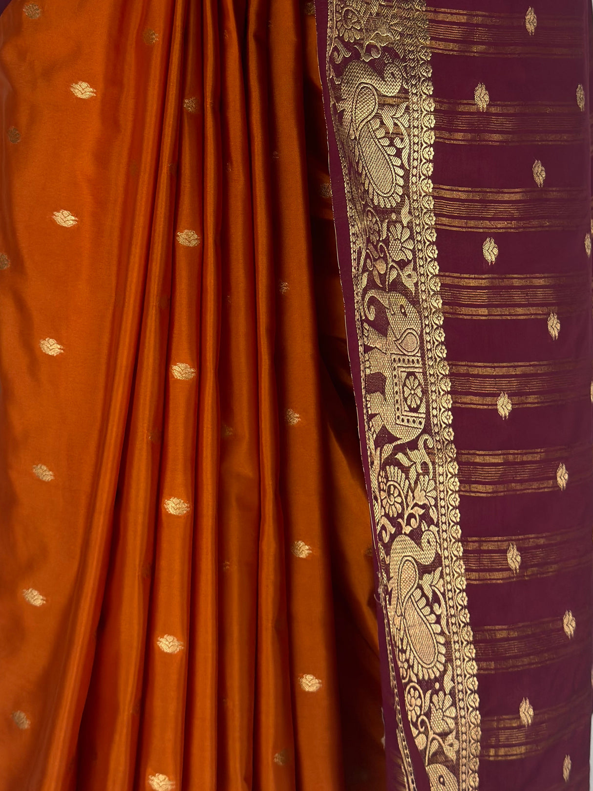 MIMOSA Mustard Saree Saree — fleets shot full lifestyle