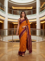 MIMOSA Gold Saree Saree — pose 6 styling detail