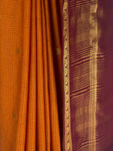 MIMOSA Gold Saree Saree — fleets shot full lifestyle