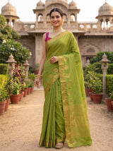 MIMOSA Olive Saree Saree — pose 5 styling detail