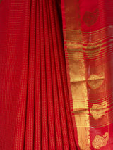 MIMOSA Red Saree Saree — fleets shot full lifestyle
