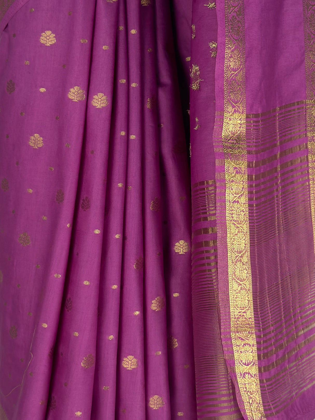 MIMOSA Gajari Saree Saree — fleets shot full lifestyle