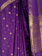 MIMOSA Jamun Saree Saree — fleets shot full lifestyle