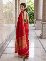 MIMOSA Red Saree Saree — pose 7 styling detail