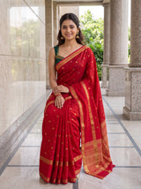 MIMOSA Red Saree Saree — pose 8 styling detail