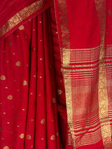 MIMOSA Red Saree Saree — fleets shot full lifestyle