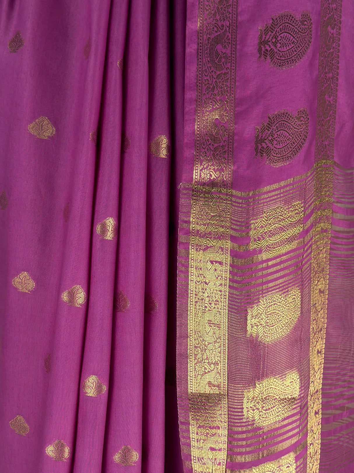 MIMOSA Gajari Saree Saree — fleets shot full lifestyle