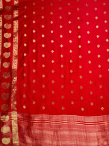 MIMOSA Red Saree Saree — pallu and zari work detail