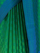 MIMOSA Green Bengaluru Saree — fleets shot full lifestyle