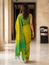 MIMOSA Liril Bengaluru Saree — pose 2 styling detail