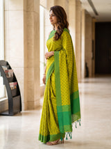 MIMOSA Liril Bengaluru Saree — pose 3 styling detail