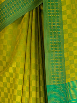 MIMOSA Liril Bengaluru Saree — fleets shot full lifestyle