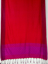 MIMOSA Maroon Bengaluru Saree — pallu and zari work detail