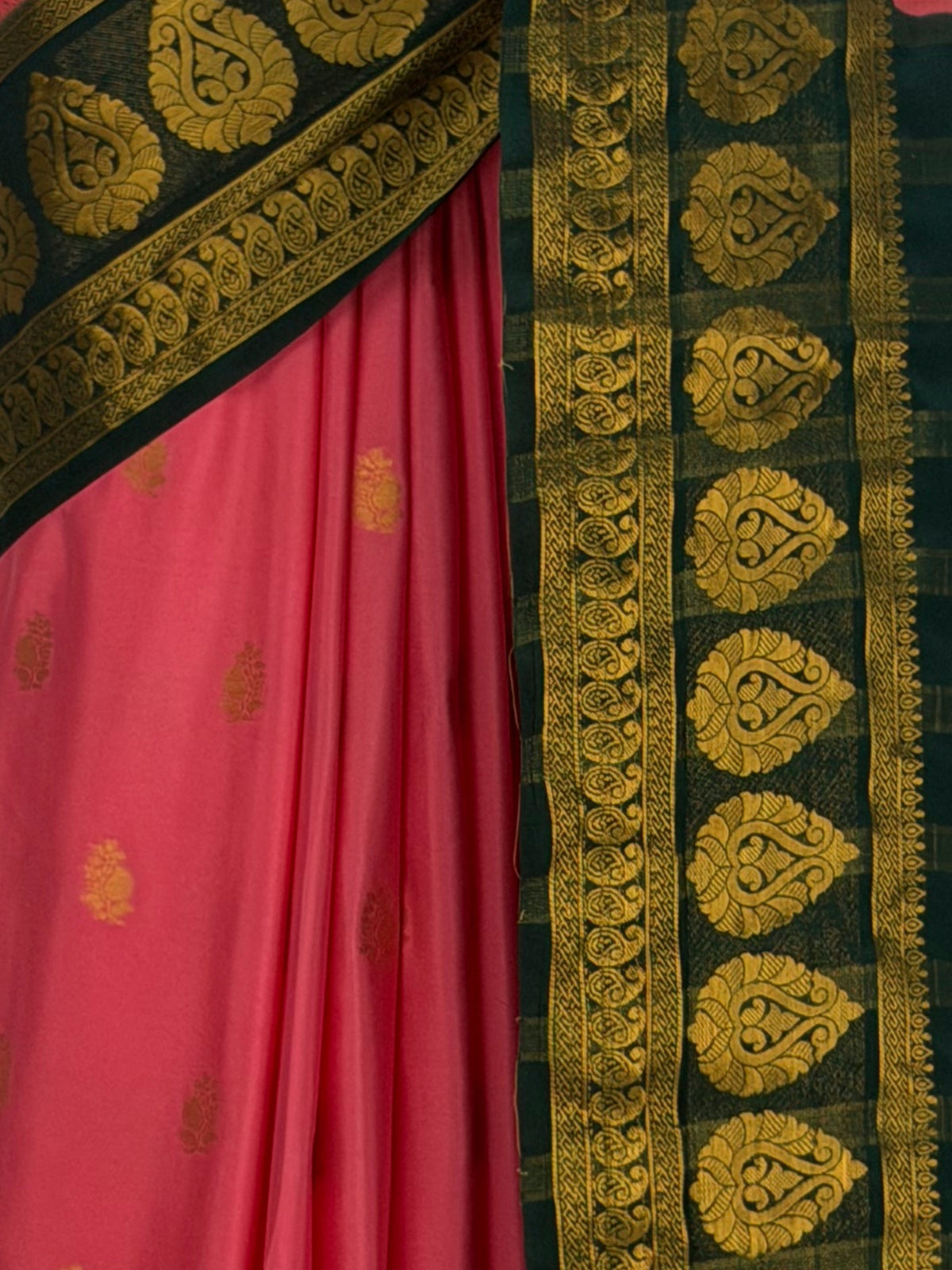 MIMOSA Gajari Mysore Silk Crepe Saree — fleets shot full lifestyle