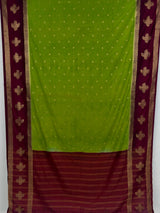 MIMOSA Olive Mysore Silk Crepe Saree — pallu and zari work detail