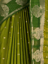 MIMOSA Olive Banarasi Saree — fleets shot full lifestyle
