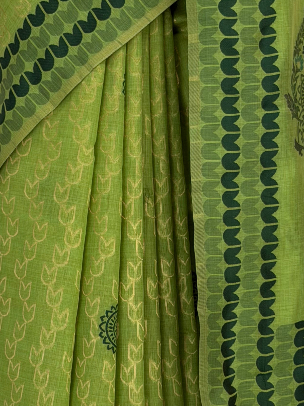 MIMOSA Parrot Green Banarasi Cotton Saree — fleets shot full lifestyle