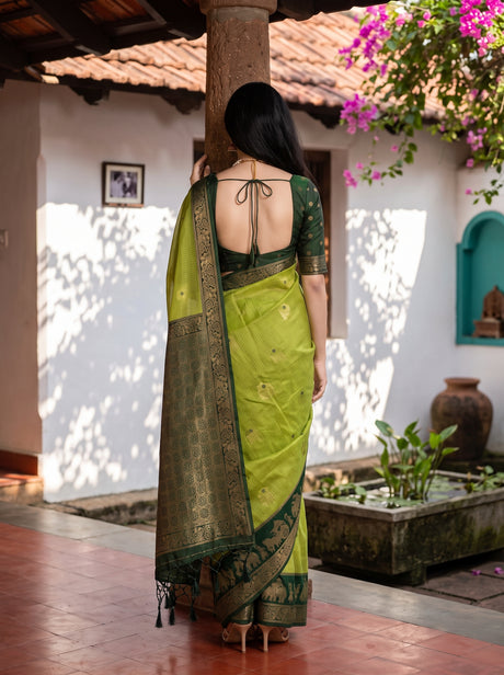 MIMOSA Parrot Green Banarasi Saree — pose 2 styling detail