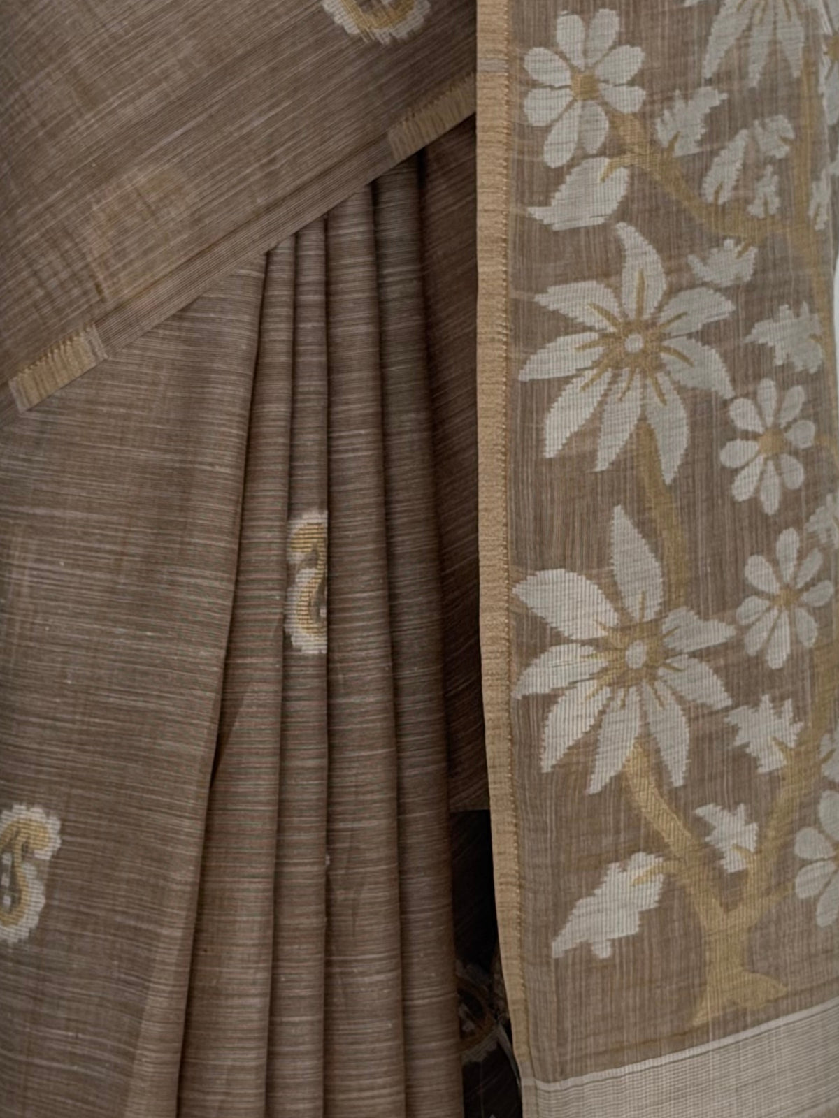 MIMOSA Chiku Banarasi Saree — fleets shot full lifestyle