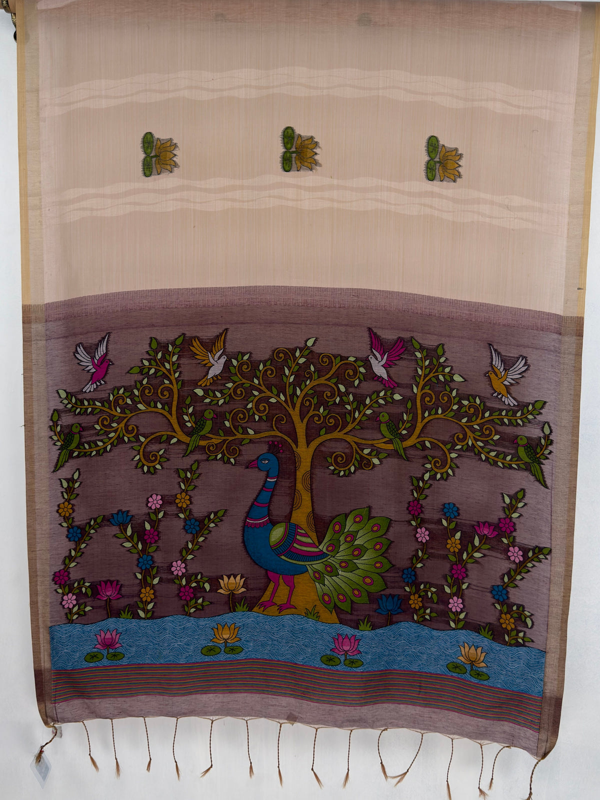 MIMOSA Chiku Bhagalpuri Cotton Saree — pallu and zari work detail